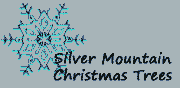 Silver Mountain Christmas Trees, grown in the Cascade Mountains of Sublimity,Oregon.  